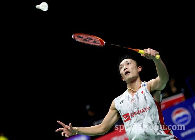 动的普及 动的普及